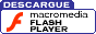 Descargue Flash Player